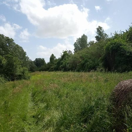 Az.Agricola Agriturismo La Locanda Di Lann Appartement Fucecchio Buitenkant foto