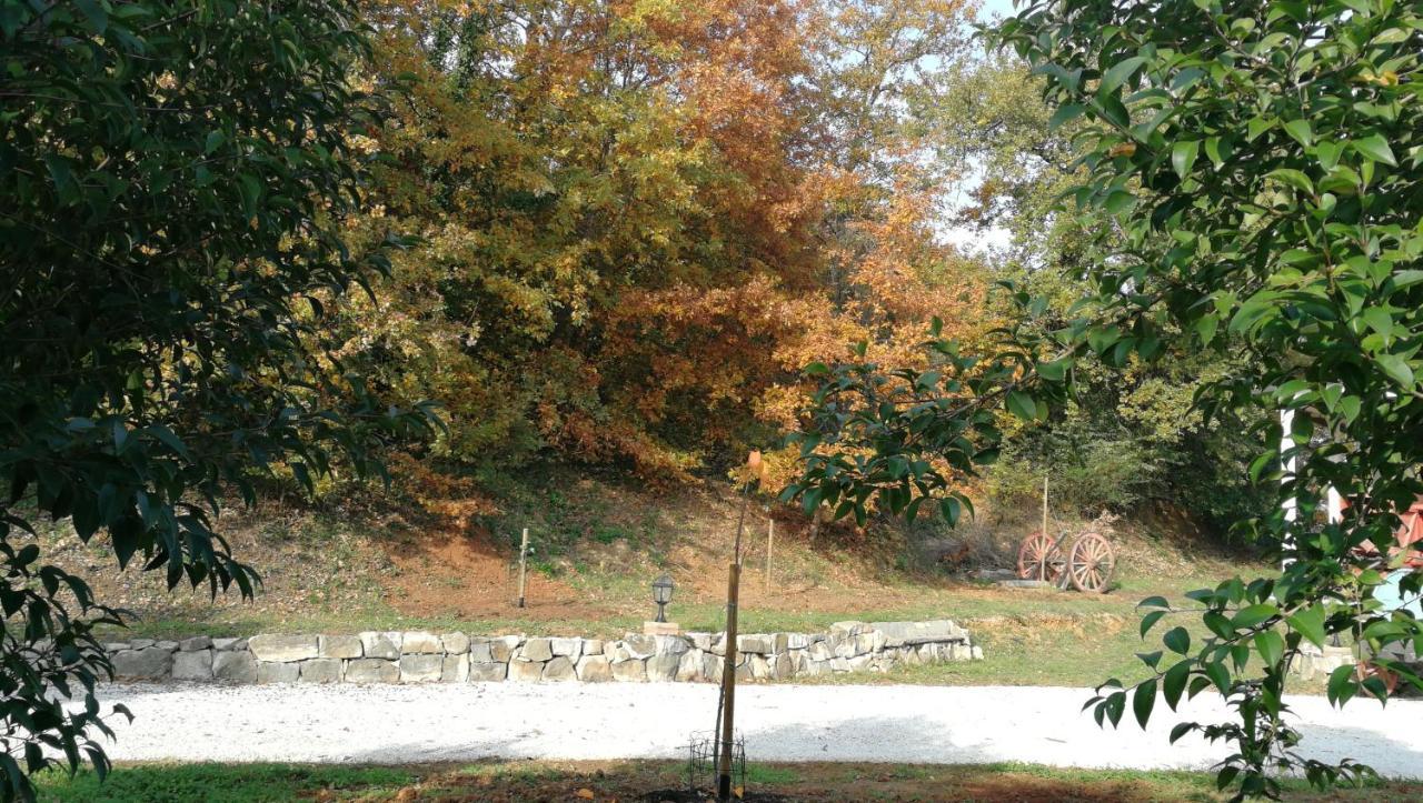 Az.Agricola Agriturismo La Locanda Di Lann Appartement Fucecchio Buitenkant foto