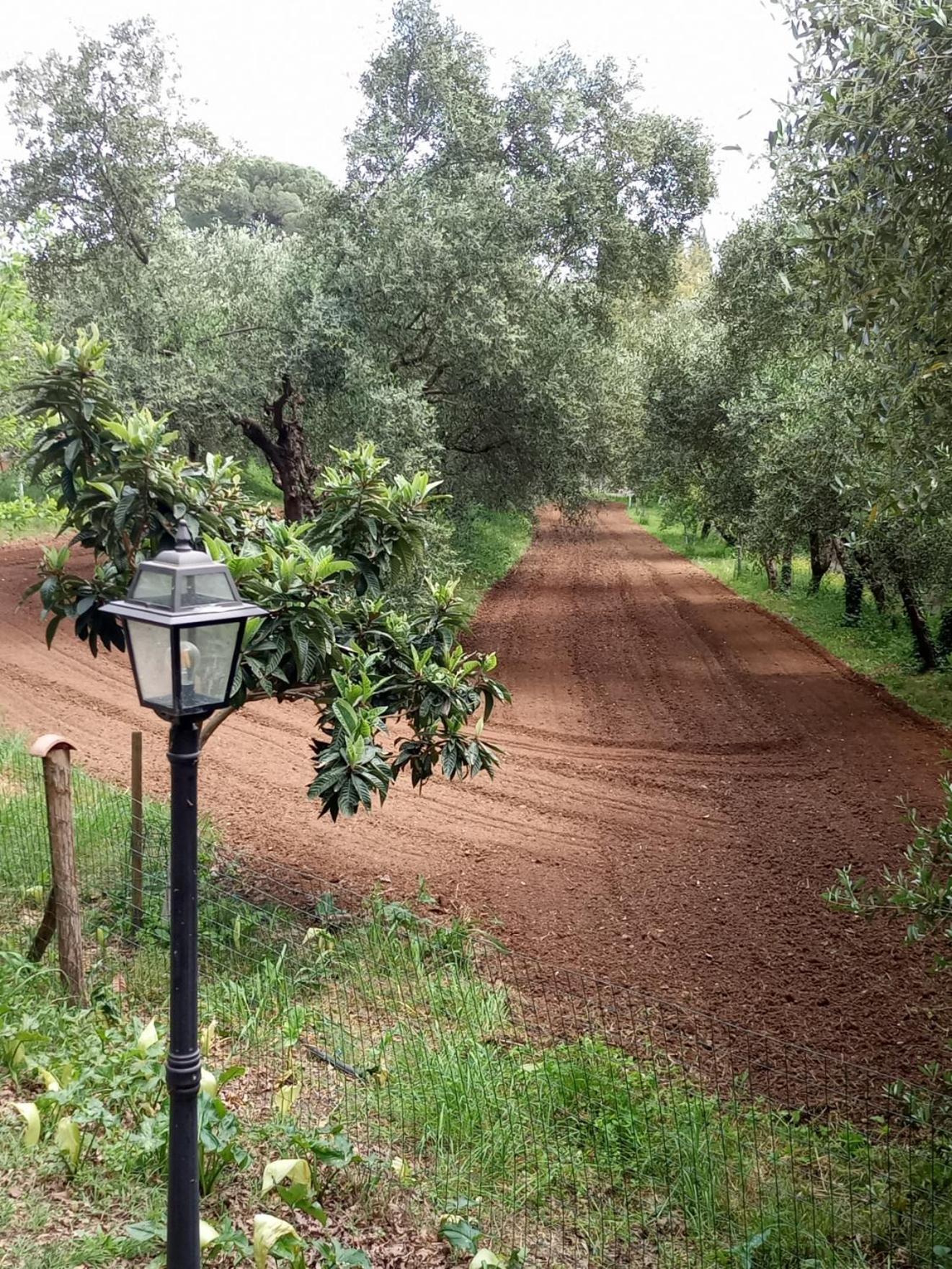 Az.Agricola Agriturismo La Locanda Di Lann Appartement Fucecchio Buitenkant foto