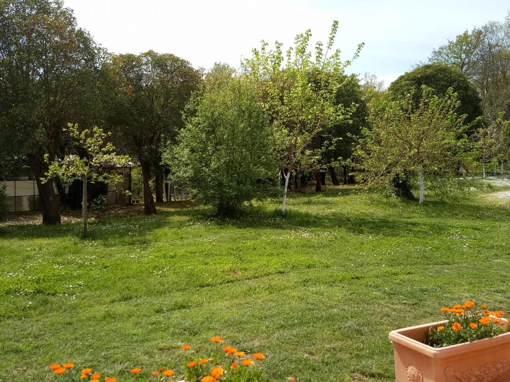 Az.Agricola Agriturismo La Locanda Di Lann Appartement Fucecchio Buitenkant foto