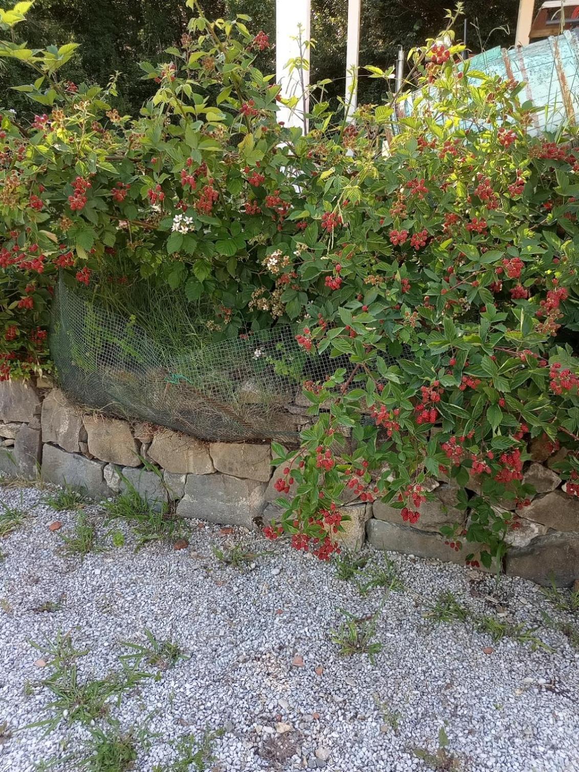 Az.Agricola Agriturismo La Locanda Di Lann Appartement Fucecchio Buitenkant foto